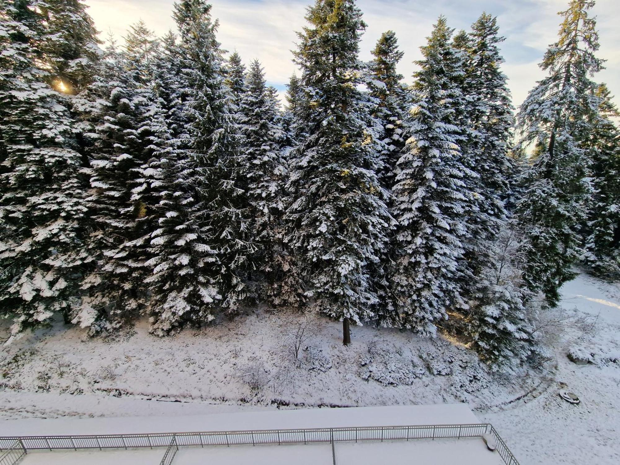 Flora Apartments Tmf Borovets Room photo
